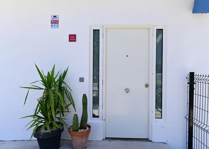 4 Mares M * Лоредо